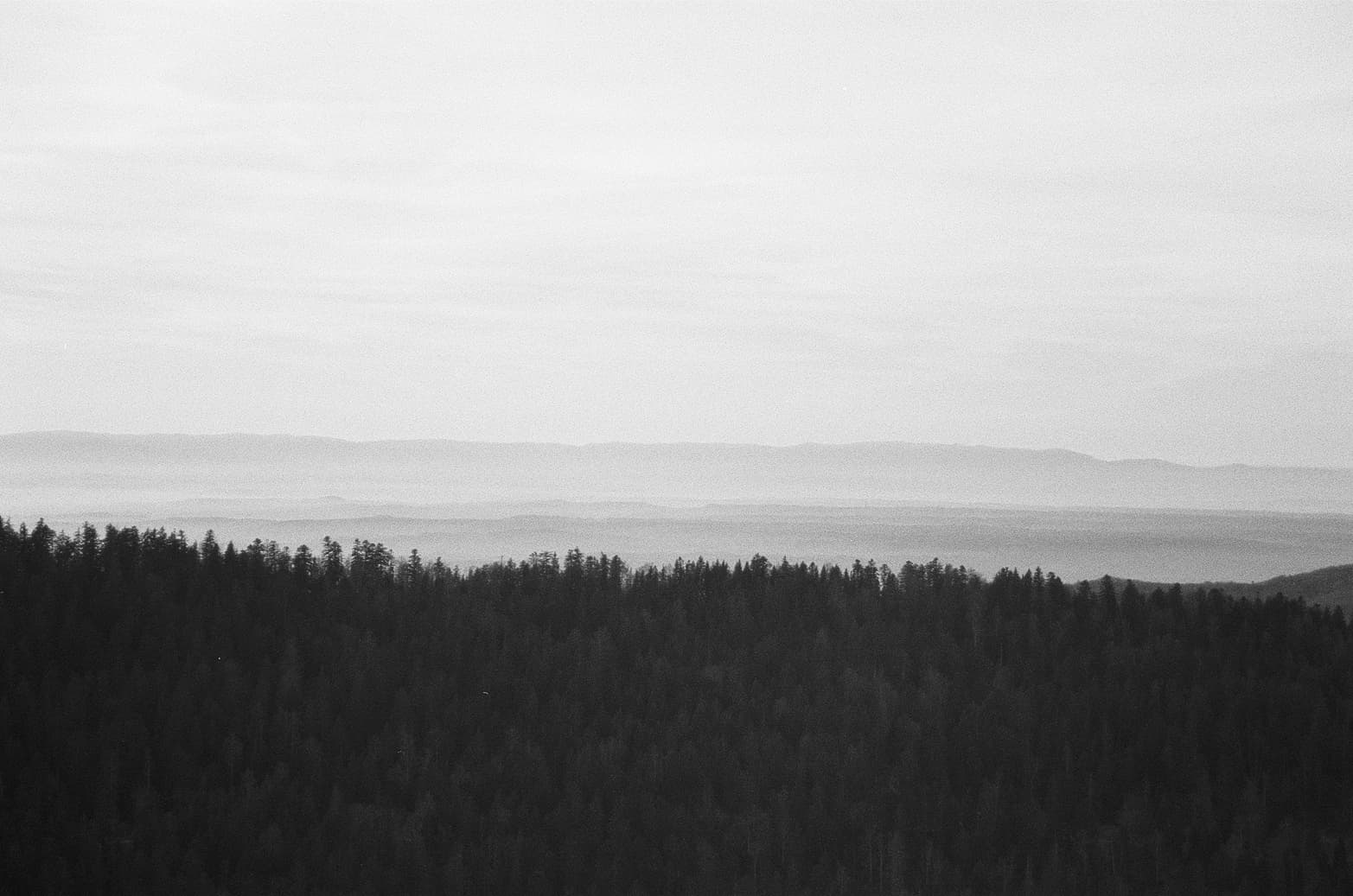 Grain_de_paysage_visual_fe29e90c-251c-444f-925e-285f85d167c0.jpg