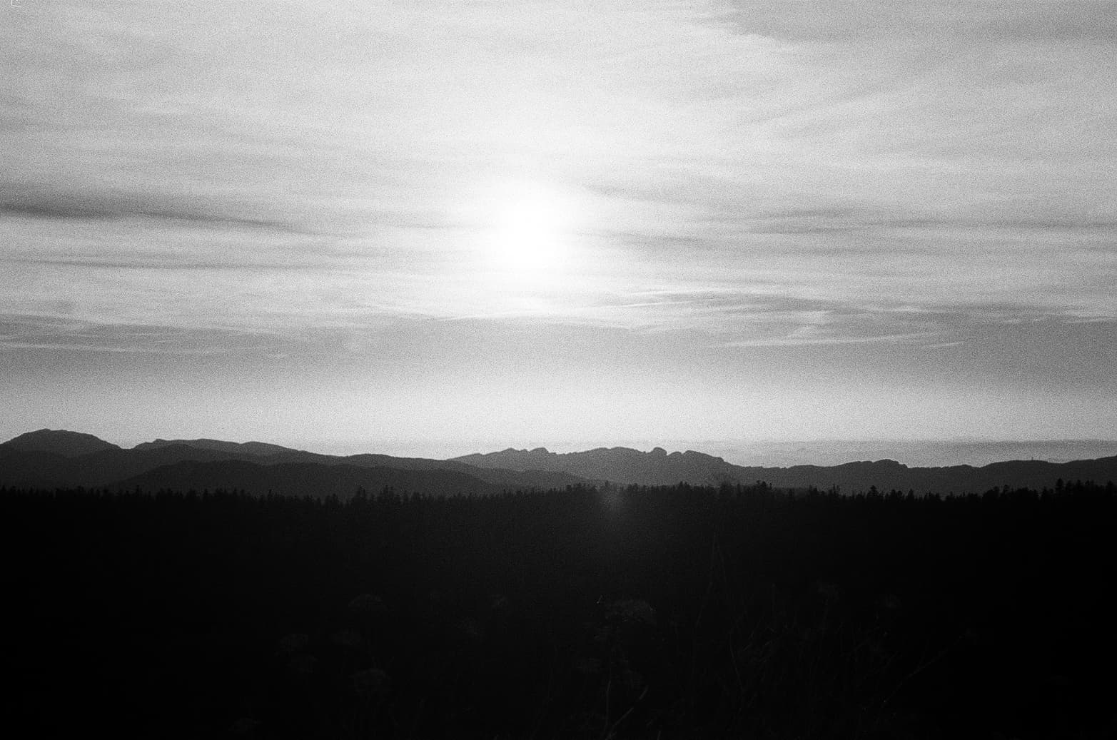 Grain_de_paysage_content_b8442a1c-16b6-4089-9e9d-85f3925f935a.jpg